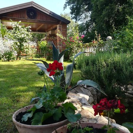 Apartment Cajt Umag Bagian luar foto