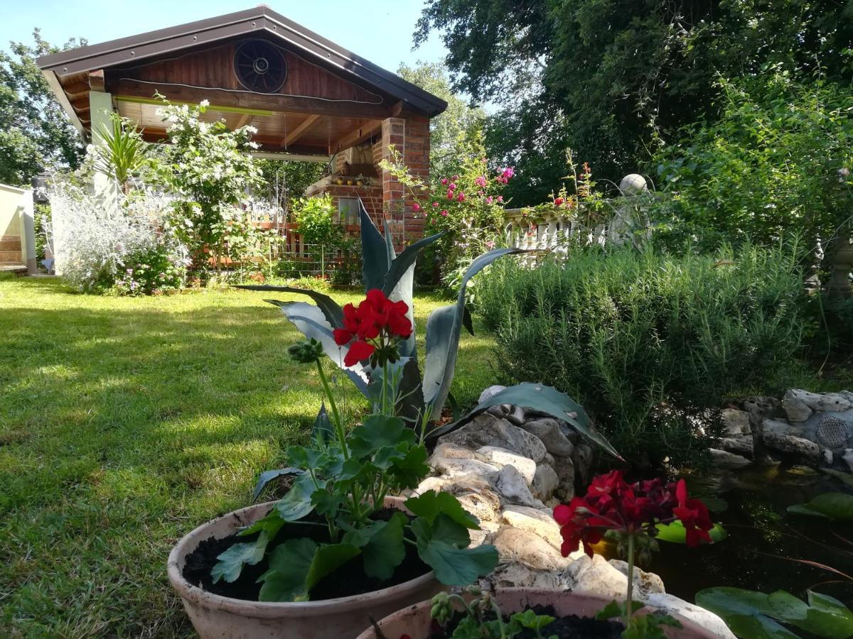 Apartment Cajt Umag Bagian luar foto